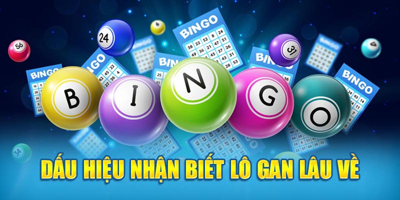Dấu hiệu nhận biết lô gan lâu về